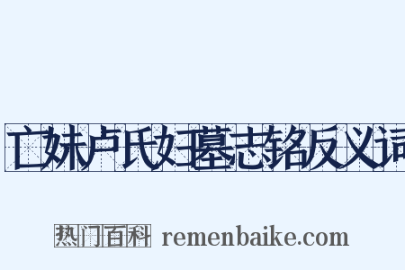 亡妹卢氏妇墓志铭反义词是什么意思的图片